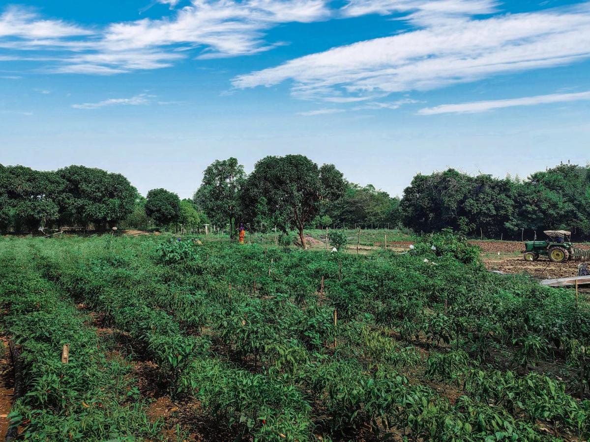 V J Farmstay Garudeshwar ภายนอก รูปภาพ